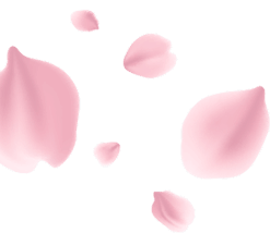 category-shape