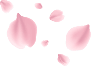 category-shape