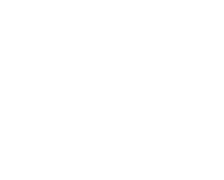 Shapes